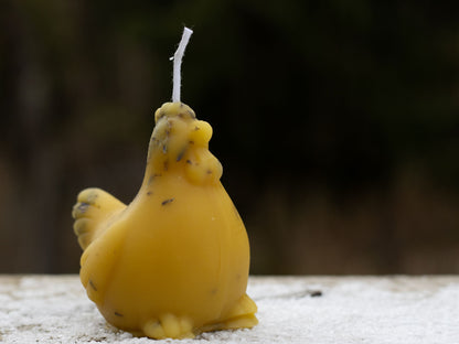 Lavender or Sage infused 100% beeswax CHICKEN Candle. Vermont grown & made!